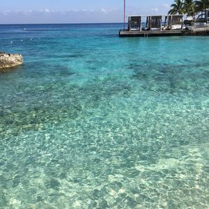 Meet your Posher, Anne